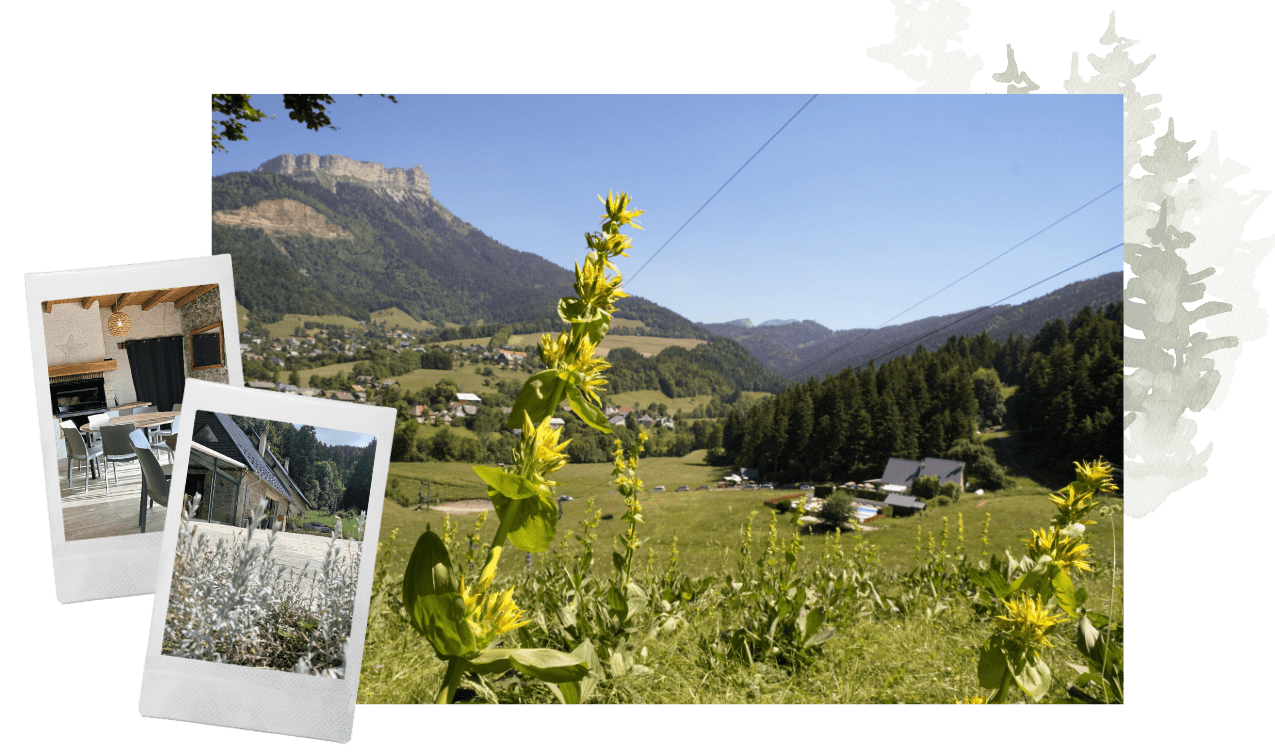 bienvenue au domaine saint michel